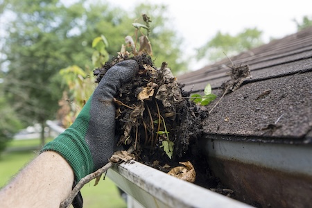 How Often Should You Clean Your Gutters in Connecticut?