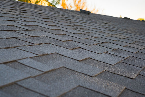 Roof cleaning services